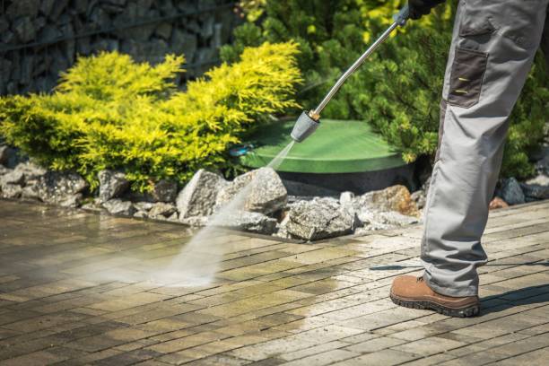 Best Window and Screen Pressure Cleaning in Lmer Heights, PA
